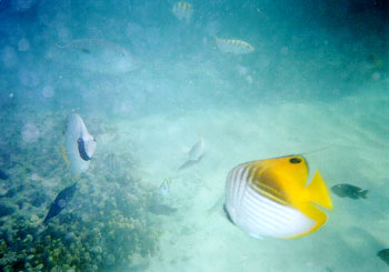 �Ȃ񂩉��F����