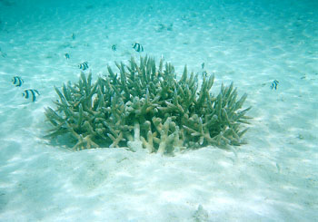 ����ق��