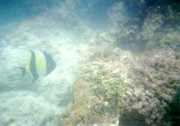 �Ȃ񂩉��F����