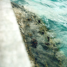 �������̑����J�j