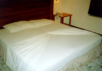 ��l�ŗ�����₯��...