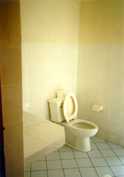 �J���I�ȃg�C��...