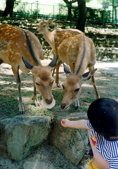 �ށA�Ƃ�ꂽ�c